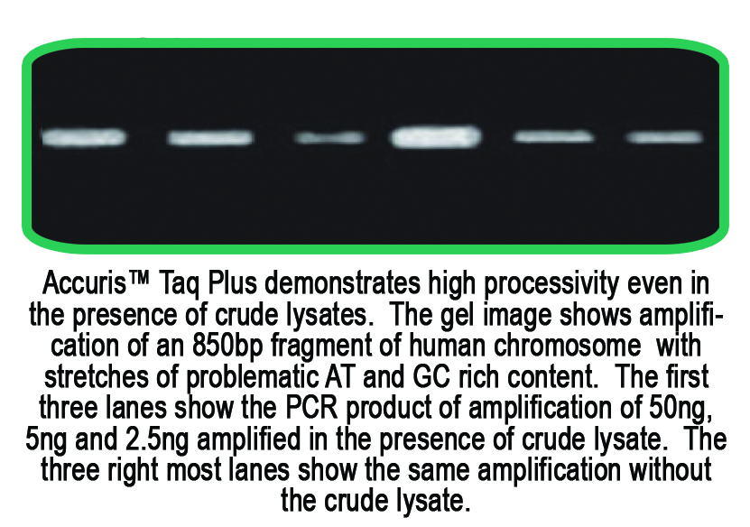 Accuris Taq Plus DNA Polymerase